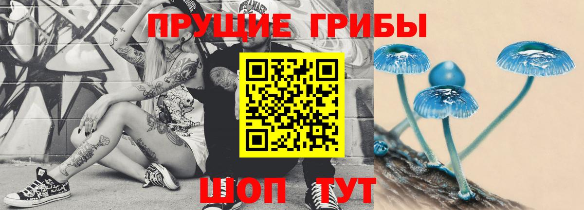 где можно купить наркотик  Вход с VPN  Майский  Псилоцибиновые грибы Psilocybe 